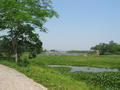 vn 188.jpg (1136x852)